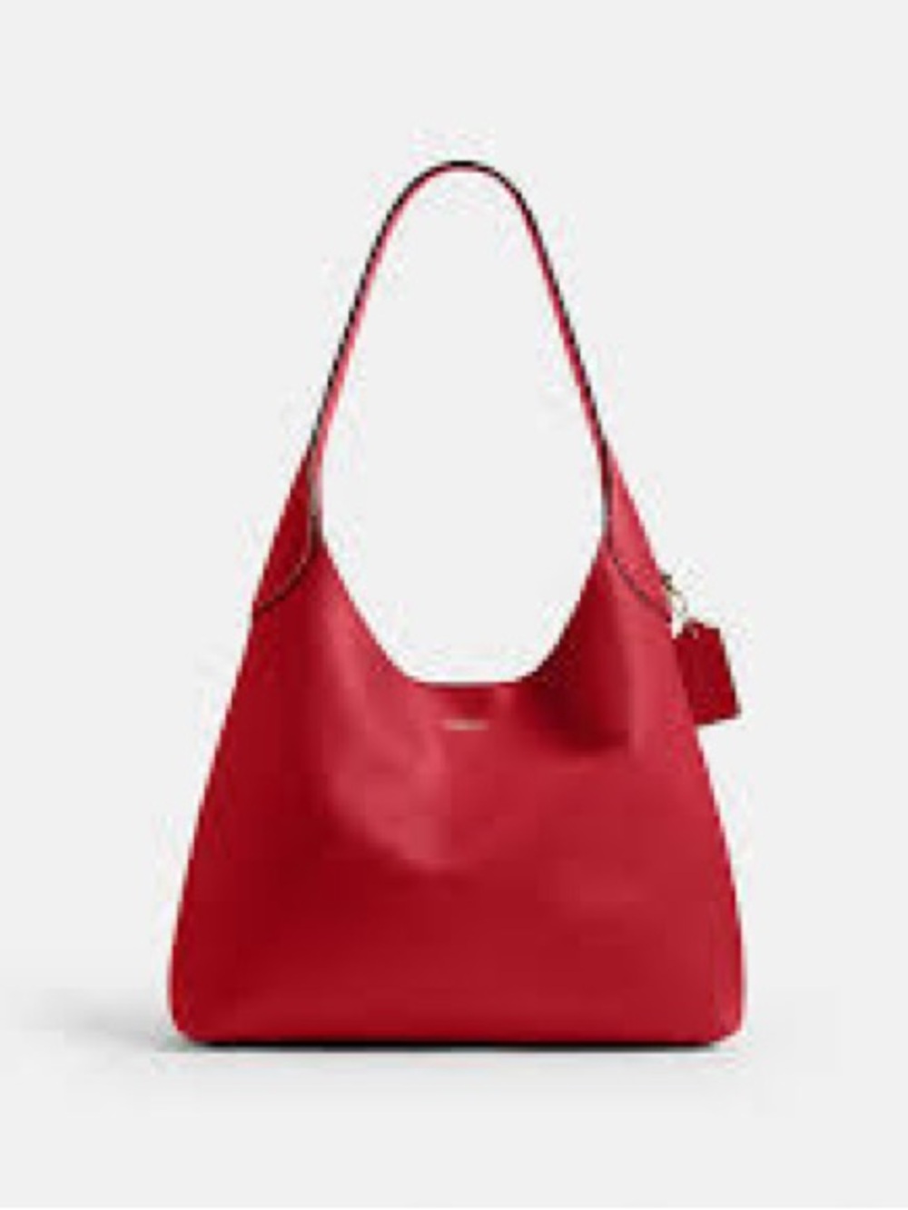 COACH, the Brooklyn Hobo bag!